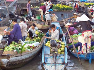 mekong delta- vietnam