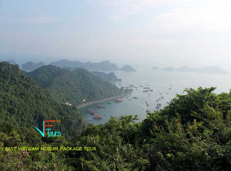 vietnam muslim tour for great services