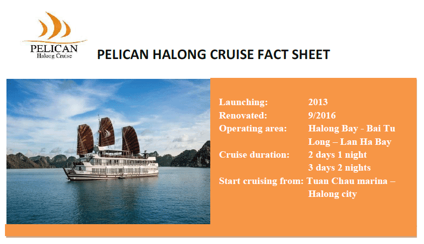 Pelican Cruises Halong are one of few cruises line in Halong Bay with fully equipment, the highest safety standards with sonar, radars. Each cabin is provided modern alarm devices linked to a central monitoring system, smoke sensor, fire extinguishers, hydrant and hoses, life jacket and clear emergency instructions. However, the most important one to make the excellent service, to constantly listen to and learn any feedback of customers to improve our service, to constantly researching, developing a new product and build the new remote to the gorgeous area with the path less traveled, to constantly keep environment in Halong Bay is our staff – the Human Resources.  Let’s enjoy your time on Pelican cruises in Halong Bay with Viet flame tours.