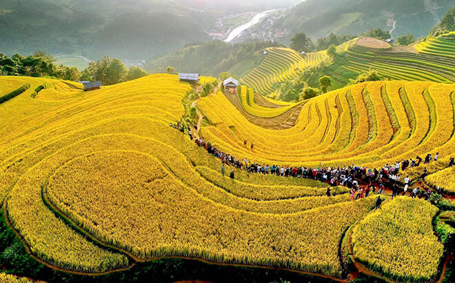 Mu Cang Chai - Yen Bai