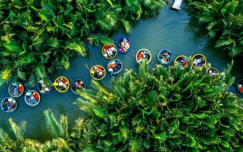 Bay Mau Coconut Forest