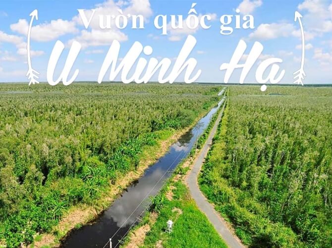 U Minh Ha National Forest