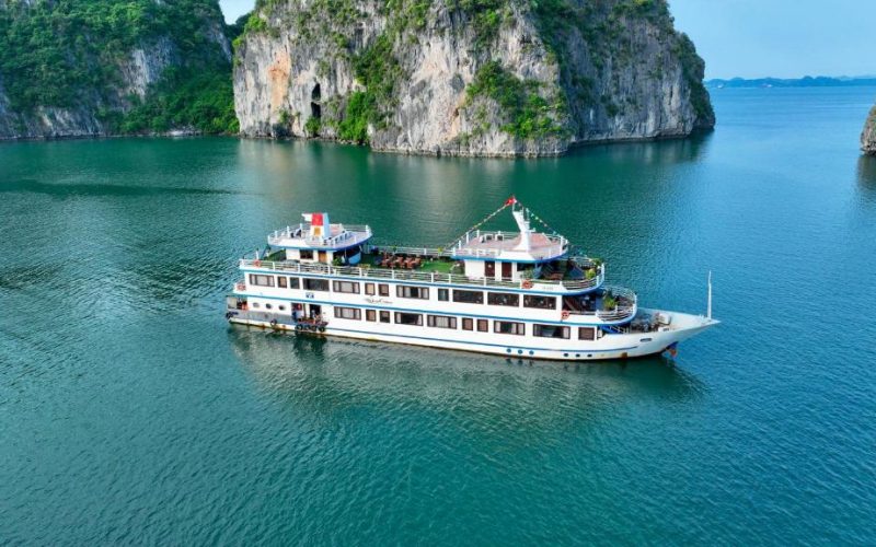 Swan Cruise