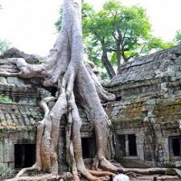 Vietnam – Cambodia Tour 08 Days with Viet Flame Tours