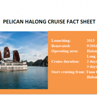Pelican Cruises Halong are one of few cruises line in Halong Bay with fully equipment, the highest safety standards with sonar, radars. Each cabin is provided modern alarm devices linked to a central monitoring system, smoke sensor, fire extinguishers, hydrant and hoses, life jacket and clear emergency instructions. However, the most important one to make the excellent service, to constantly listen to and learn any feedback of customers to improve our service, to constantly researching, developing a new product and build the new remote to the gorgeous area with the path less traveled, to constantly keep environment in Halong Bay is our staff – the Human Resources. Let’s enjoy your time on Pelican cruises in Halong Bay with Viet flame tours.
