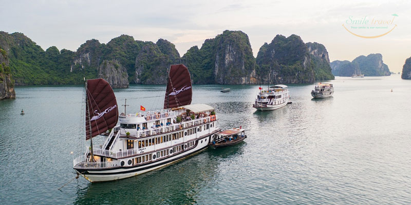 Swan Cruises in Bai Tu Long Bay- Halong Bay- Vietnam