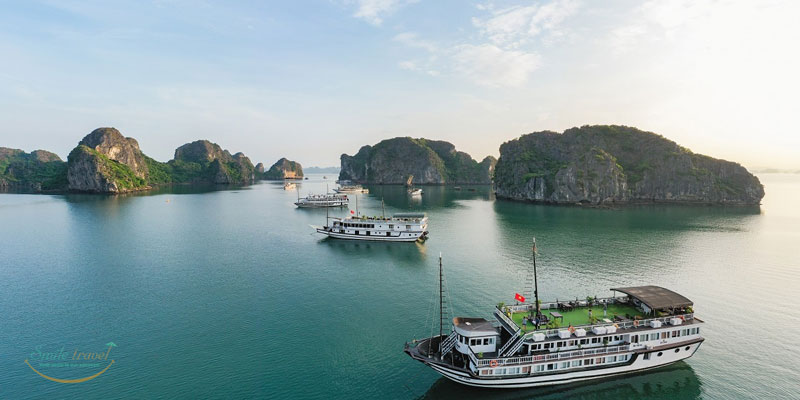 Swan Cruises in Bai Tu Long Bay- Halong Bay- Vietnam