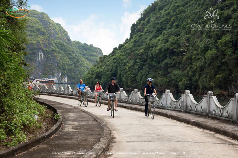 Bikking Orchid Classic Cruise Halong Bay, Du thuyền 5 sao Orchid Classic Cruise